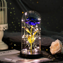 Load image into Gallery viewer, Enchanted Forever Rose Flower in Glass LED Light Christmas Decoration