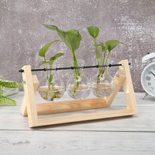 Load image into Gallery viewer, Glass and Wood Vase Planter Terrarium Table Desktop Hydroponics Plant Bonsai Flower Pot Hanging Pots with Wooden Tray Home Decor