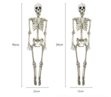 Load image into Gallery viewer, Full Size Human Skeleton Halloween Party Decoration Poseable Skull Lifelike Human Body Model Party Festival Decorations Props