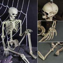 Load image into Gallery viewer, Full Size Human Skeleton Halloween Party Decoration Poseable Skull Lifelike Human Body Model Party Festival Decorations Props