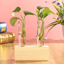 Load image into Gallery viewer, Glass and Wood Vase Planter Terrarium Table Desktop Hydroponics Plant Bonsai Flower Pot Hanging Pots with Wooden Tray Home Decor
