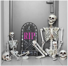 Load image into Gallery viewer, Full Size Human Skeleton Halloween Party Decoration Poseable Skull Lifelike Human Body Model Party Festival Decorations Props