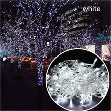Load image into Gallery viewer, SICCSAEE Outdoor christmas led string lights 100M 20M 10M 5M Luces Decoracion fairy light holiday lights lighting tree garland