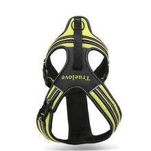 Load image into Gallery viewer, Truelove Sport Nylon Reflective No Pull Dog Harness Outdoor Adventure Pet Vest With Handle XS To XL 5 Colors In Stock Factory
