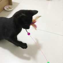 Load image into Gallery viewer, 1pc Cat Toy Stick Feather Wand With Bell Mouse Cage Toys Plastic Artificial Colorful Cat Teaser Toy Pet Supplies Random Color
