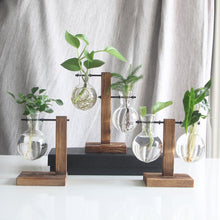 Load image into Gallery viewer, Glass and Wood Vase Planter Terrarium Table Desktop Hydroponics Plant Bonsai Flower Pot Hanging Pots with Wooden Tray Home Decor