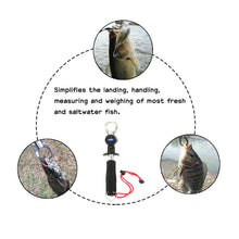 Load image into Gallery viewer, Top Quality Durable Fish Grip Lip Trigger Lock Gripper Clip Clamp Grabber Fish Pliers Grab Fishing Tackle Box Accessory Tool