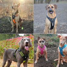 Load image into Gallery viewer, Truelove Sport Nylon Reflective No Pull Dog Harness Outdoor Adventure Pet Vest With Handle XS To XL 5 Colors In Stock Factory
