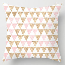 Load image into Gallery viewer, New Pink Roses Feathers Geometric Cushion Cover Modern Fashion Nordic Simple Pillowcase Decorative Sofa Seat Throw Pillows Cover