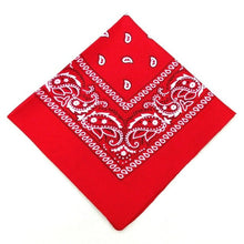 Load image into Gallery viewer, 1DayShip Men Women Cotton Bandana Hairband Cowboy Mens Biker Sports Headwear Wrist Hairwrap Double Sided Head Wrap Scarf Paisley