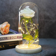 Load image into Gallery viewer, Enchanted Forever Rose Flower in Glass LED Light Christmas Decoration
