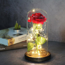 Load image into Gallery viewer, Enchanted Forever Rose Flower in Glass LED Light Christmas Decoration
