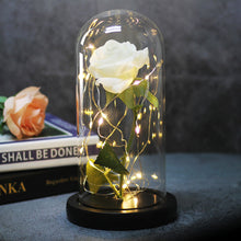 Load image into Gallery viewer, Enchanted Forever Rose Flower in Glass LED Light Christmas Decoration
