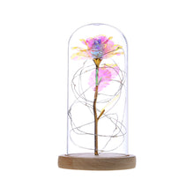 Load image into Gallery viewer, Enchanted Forever Rose Flower in Glass LED Light Christmas Decoration
