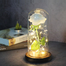 Load image into Gallery viewer, Enchanted Forever Rose Flower in Glass LED Light Christmas Decoration
