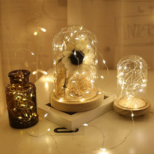 Load image into Gallery viewer, Christmas Tree Decoration for Home 10M 100LED Garland Copper Wire Corker String Fairy Lights Weeding Decor Party New Year 2020,B
