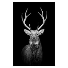 Load image into Gallery viewer, Canvas Painting Animal Wall Art Lion Elephant Deer Zebra Posters and Prints Wall Pictures for Living Room Decoration Home Decor
