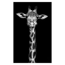 Load image into Gallery viewer, Canvas Painting Animal Wall Art Lion Elephant Deer Zebra Posters and Prints Wall Pictures for Living Room Decoration Home Decor
