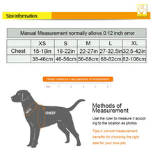 Load image into Gallery viewer, Truelove Dog Harness Reflective No Pull Small Medium Large Vest Quick Adjustbale Matching Leash Collar Training Running TLH6071
