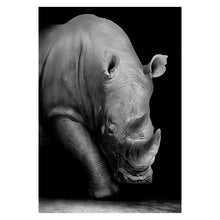 Load image into Gallery viewer, Canvas Painting Animal Wall Art Lion Elephant Deer Zebra Posters and Prints Wall Pictures for Living Room Decoration Home Decor
