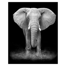 Load image into Gallery viewer, Canvas Painting Animal Wall Art Lion Elephant Deer Zebra Posters and Prints Wall Pictures for Living Room Decoration Home Decor

