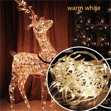 Load image into Gallery viewer, SICCSAEE Outdoor christmas led string lights 100M 20M 10M 5M Luces Decoracion fairy light holiday lights lighting tree garland

