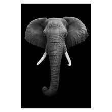 Load image into Gallery viewer, Canvas Painting Animal Wall Art Lion Elephant Deer Zebra Posters and Prints Wall Pictures for Living Room Decoration Home Decor
