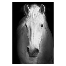 Load image into Gallery viewer, Canvas Painting Animal Wall Art Lion Elephant Deer Zebra Posters and Prints Wall Pictures for Living Room Decoration Home Decor
