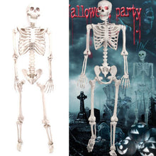 Load image into Gallery viewer, Full Size Human Skeleton Halloween Party Decoration Poseable Skull Lifelike Human Body Model Party Festival Decorations Props
