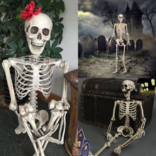 Load image into Gallery viewer, Full Size Human Skeleton Halloween Party Decoration Poseable Skull Lifelike Human Body Model Party Festival Decorations Props
