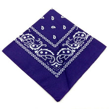 Load image into Gallery viewer, 1DayShip Men Women Cotton Bandana Hairband Cowboy Mens Biker Sports Headwear Wrist Hairwrap Double Sided Head Wrap Scarf Paisley
